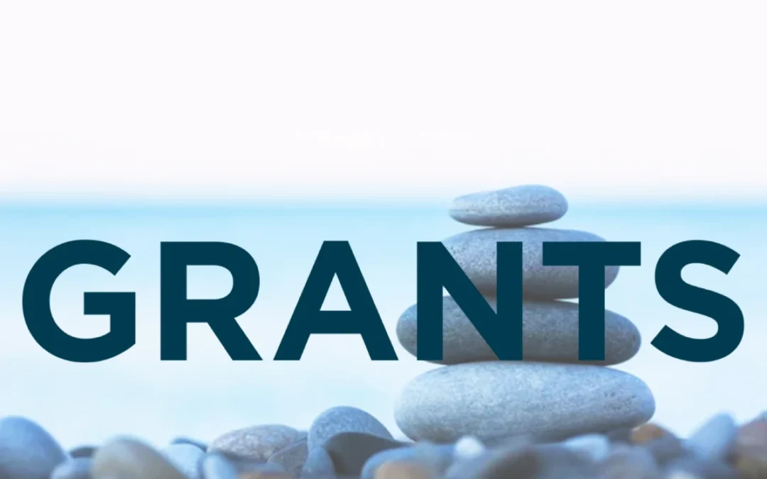 Whispers from Washington: Get your Grant Game On!